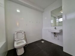 The Cairnhill (D9), Condominium #559695151